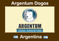 Dogos Argentinos Argentum