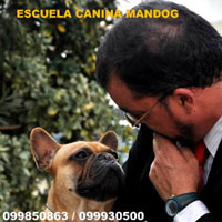 Adiestrador Canino Enrique Silvera