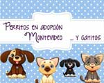 Perritos en adopción Montevideo