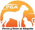 Refugio PGA - Perros y Gatos en adopción